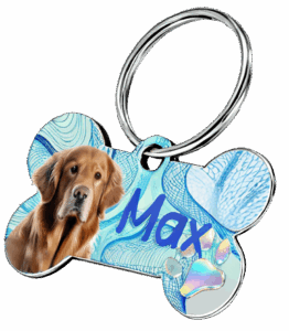 Funcional collar en metal con el nombre de tu mascota impreso por una cara y por la otra el telefono del propietario.